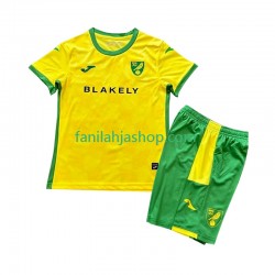 Norwich City Pelipaidat Kotipelipaita 2024-2025 Lyhythihainen ,Lapset