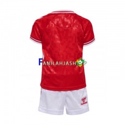 Tanska Pelipaidat Euro 2024 Kotipelipaita Lyhythihainen ,Lapset