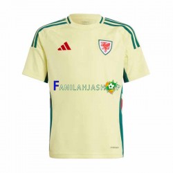 Wales Pelipaidat Vieraspelipaita 2024 Lyhythihainen ,Miehet