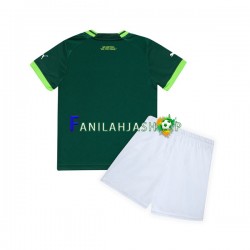 Palmeiras Pelipaidat Kotipelipaita 2023-2024 Lyhythihainen ,Lapset