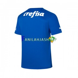 Palmeiras Pelipaidat Maalivahdin Kotipelipaita 2023-2024 Lyhythihainen ,Miehet