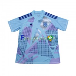 Espanja Pelipaidat Euro Maalivahdin Vieraspelipaita 2024 Lyhythihainen ,Miehet