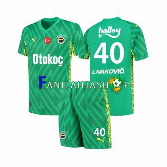 Fenerbahce Livakovic 40 Footbal Kit Maalivahdin Kotipelipaita 2023-2024 Lyhythihainen