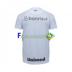 Gremio Pelipaidat Vieraspelipaita 2023-2024 Lyhythihainen ,Miehet