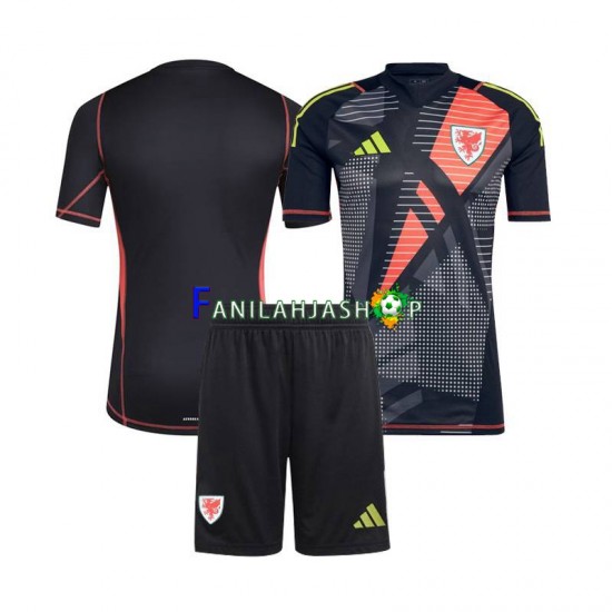 Wales Pelipaidat Maalivahdin Kotipelipaita 2024 Lyhythihainen ,Lapset