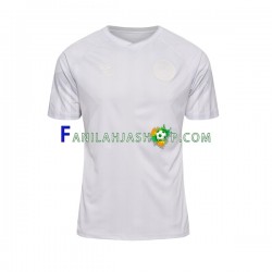 Tanska Pelipaidat Vieraspelipaita World Cup 2022 Lyhythihainen ,Miehet