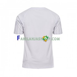 Tanska Pelipaidat Vieraspelipaita World Cup 2022 Lyhythihainen ,Miehet