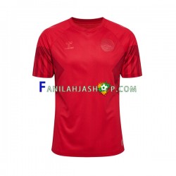 Tanska Pelipaidat Kotipelipaita World Cup 2022 Lyhythihainen ,Miehet