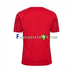 Tanska Pelipaidat Kotipelipaita World Cup 2022 Lyhythihainen ,Miehet