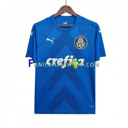 Palmeiras Pelipaidat Maalivahdin Vieraspelipaita 2022-2023 Lyhythihainen ,Miehet