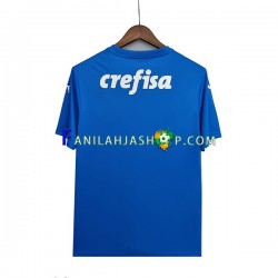 Palmeiras Pelipaidat Maalivahdin Vieraspelipaita 2022-2023 Lyhythihainen ,Miehet