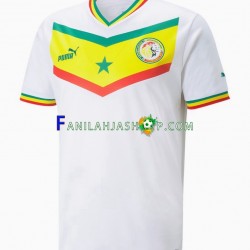 Senegal Pelipaidat Kotipelipaita World Cup 2022 Lyhythihainen ,Miehet