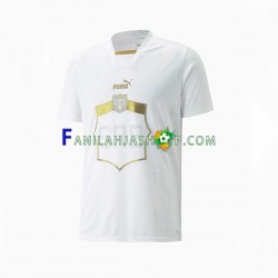 Serbia Pelipaidat Vieraspelipaita World Cup 2022 Lyhythihainen ,Miehet