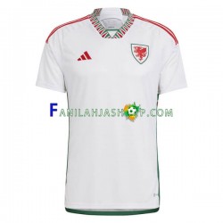 Wales Pelipaidat Vieraspelipaita World Cup 2022 Lyhythihainen ,Miehet