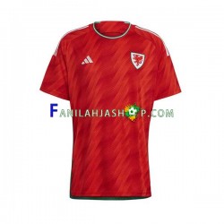 Wales Pelipaidat Kotipelipaita World Cup 2022 Lyhythihainen ,Miehet
